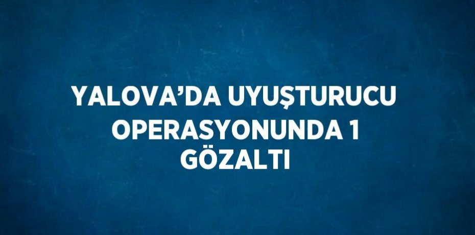 YALOVA’DA UYUŞTURUCU OPERASYONUNDA 1 GÖZALTI