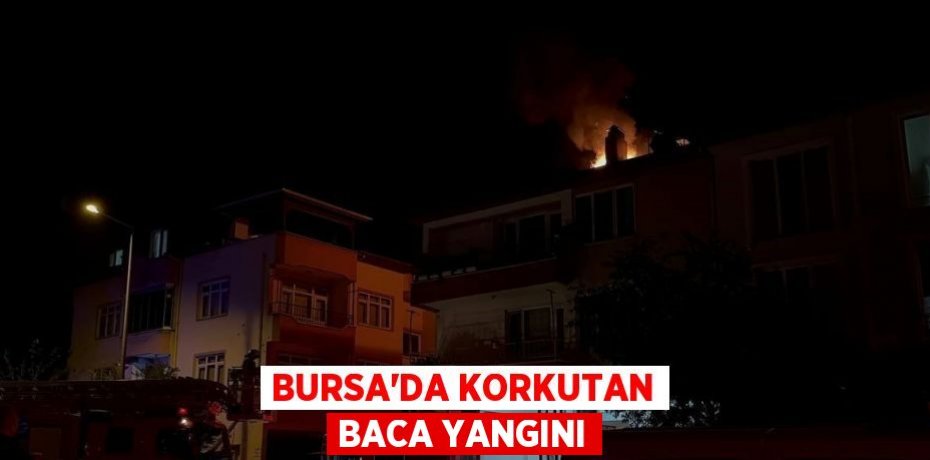 BURSA’DA KORKUTAN BACA YANGINI