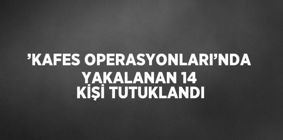 ’KAFES OPERASYONLARI’NDA YAKALANAN 14 KİŞİ TUTUKLANDI