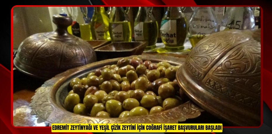 Edremit zeytinyağı ve yeşil çizik zeytini için coğrafi işaret başvuruları başladı