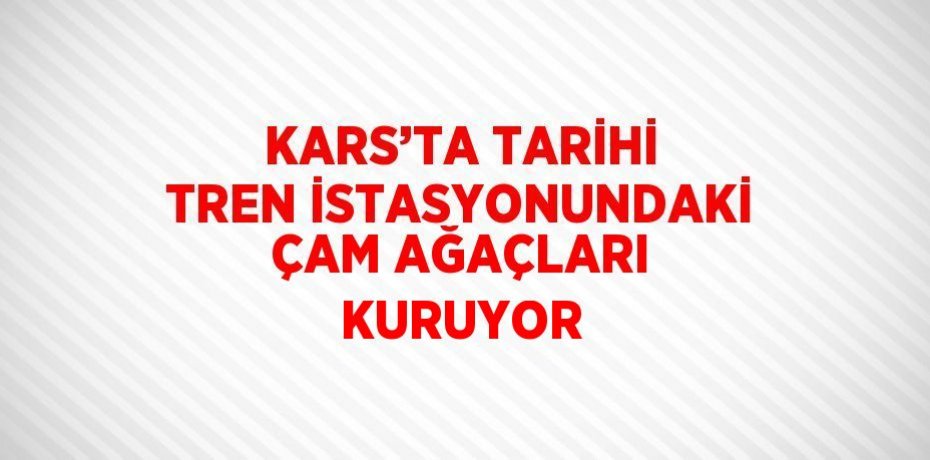 KARS’TA TARİHİ TREN İSTASYONUNDAKİ ÇAM AĞAÇLARI KURUYOR