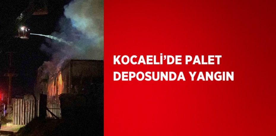 KOCAELİ’DE PALET DEPOSUNDA YANGIN