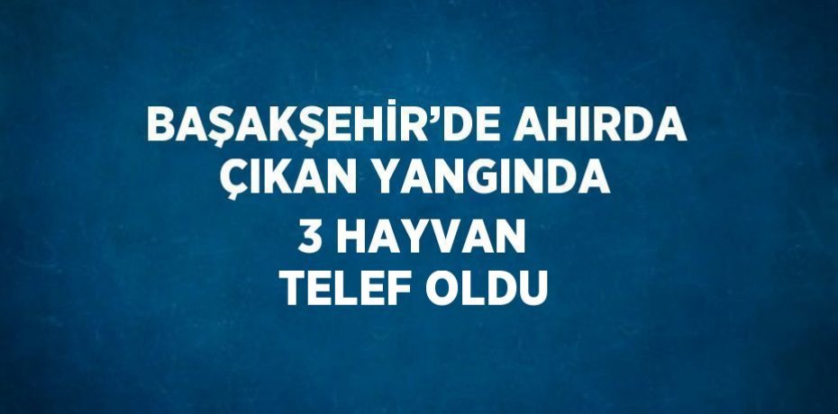 BAŞAKŞEHİR’DE AHIRDA ÇIKAN YANGINDA 3 HAYVAN TELEF OLDU
