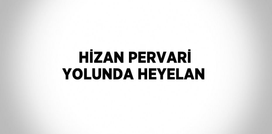 HİZAN PERVARİ YOLUNDA HEYELAN