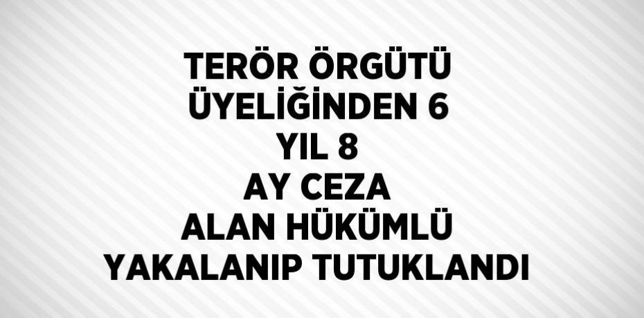 TERÖR ÖRGÜTÜ ÜYELİĞİNDEN 6 YIL 8 AY CEZA ALAN HÜKÜMLÜ YAKALANIP TUTUKLANDI