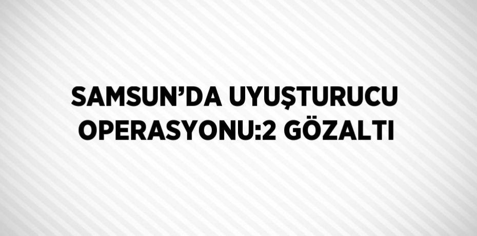 SAMSUN’DA UYUŞTURUCU OPERASYONU:2 GÖZALTI