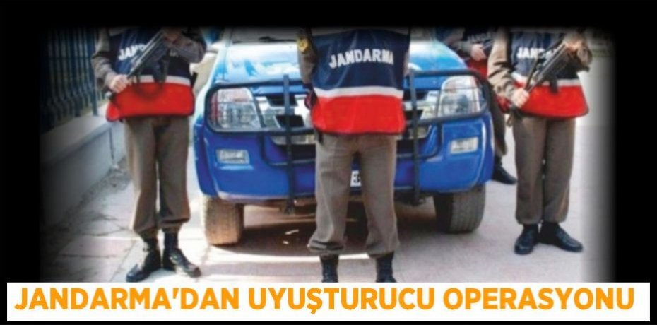 Jandarma'dan uyuşturucu operasyonu