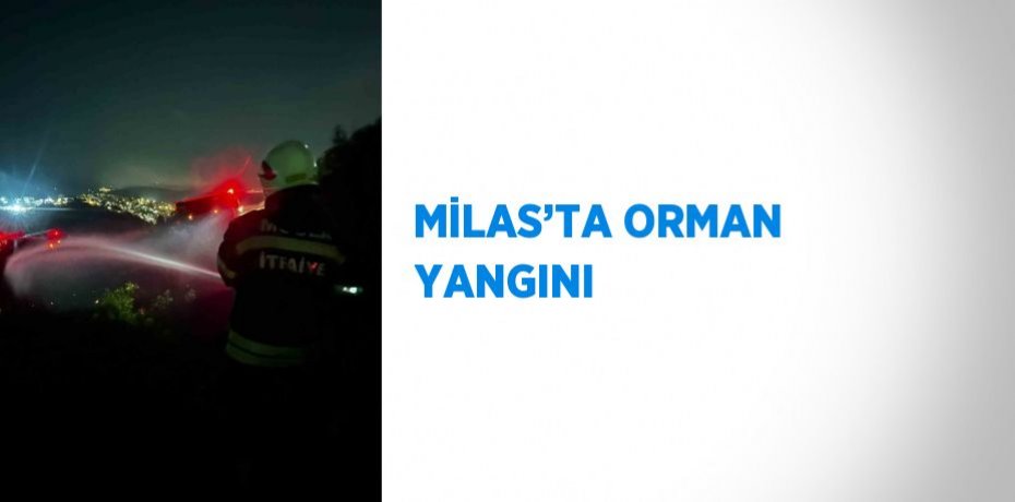 MİLAS’TA ORMAN YANGINI