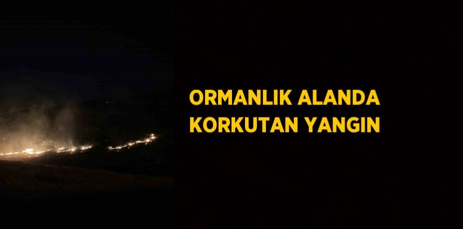 ORMANLIK ALANDA KORKUTAN YANGIN