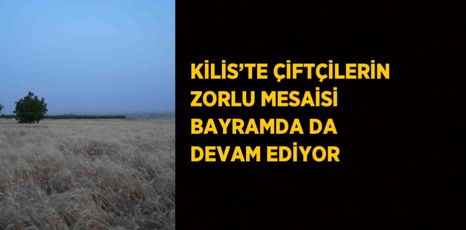 KİLİS’TE ÇİFTÇİLERİN ZORLU MESAİSİ BAYRAMDA DA DEVAM EDİYOR