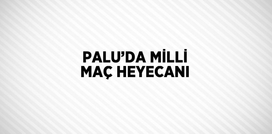 PALU’DA MİLLİ MAÇ HEYECANI