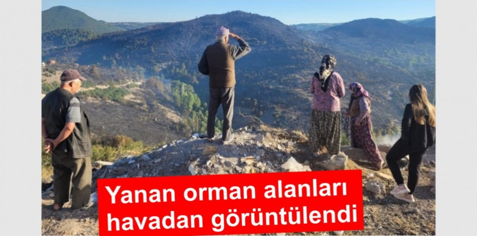 Yanan orman alanları havadan görüntülendi