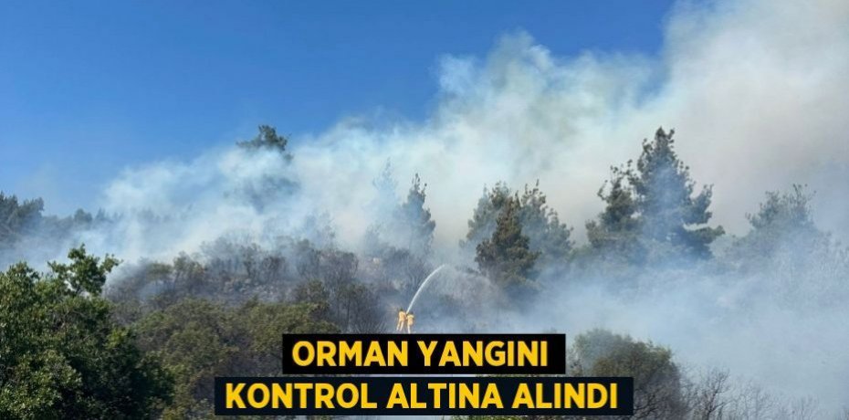 Orman yangını kontrol altına alındı