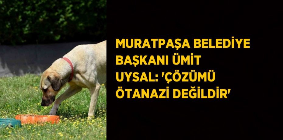 MURATPAŞA BELEDİYE BAŞKANI ÜMİT UYSAL: 'ÇÖZÜMÜ ÖTANAZİ DEĞİLDİR'