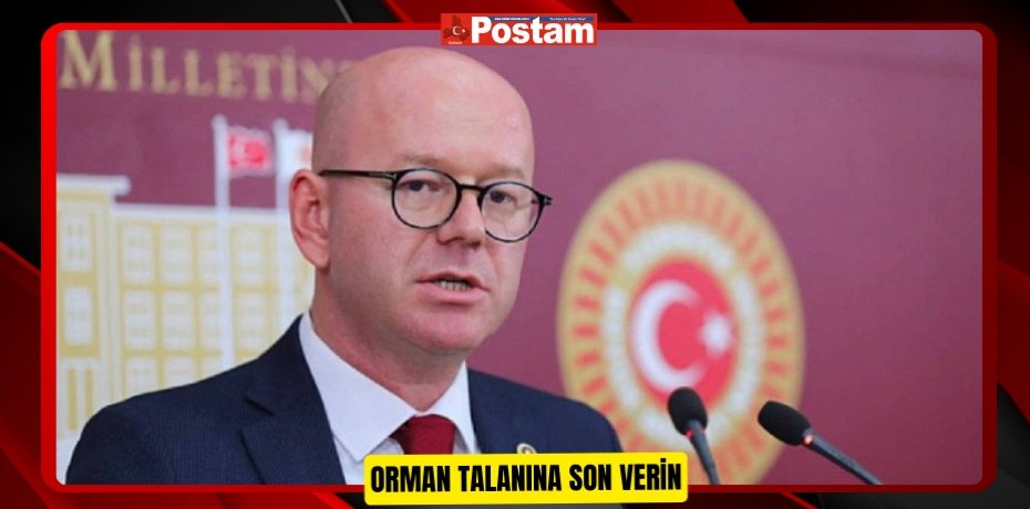 ORMAN TALANINA SON VERİN