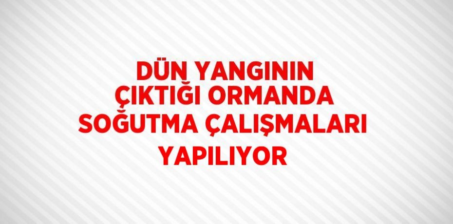 DÜN YANGININ ÇIKTIĞI ORMANDA SOĞUTMA ÇALIŞMALARI YAPILIYOR