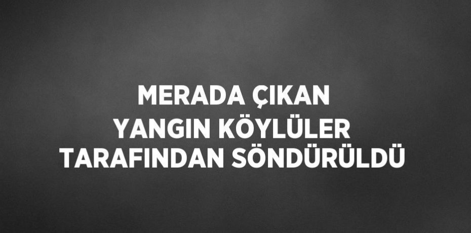 MERADA ÇIKAN YANGIN KÖYLÜLER TARAFINDAN SÖNDÜRÜLDÜ