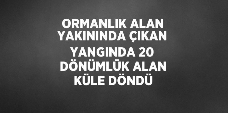 ORMANLIK ALAN YAKININDA ÇIKAN YANGINDA 20 DÖNÜMLÜK ALAN KÜLE DÖNDÜ