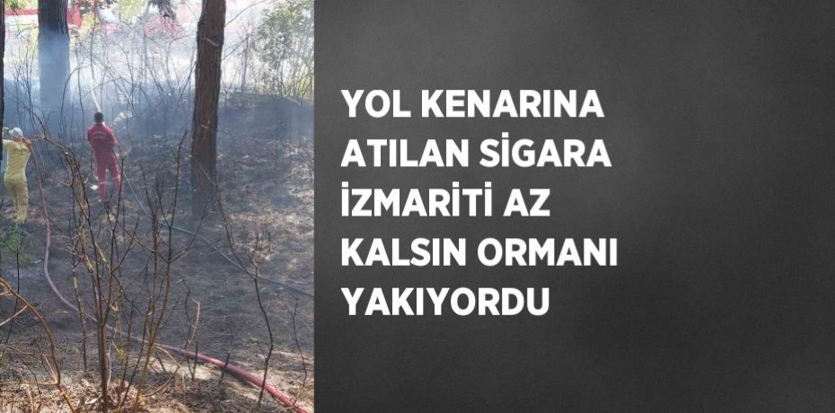YOL KENARINA ATILAN SİGARA İZMARİTİ AZ KALSIN ORMANI YAKIYORDU