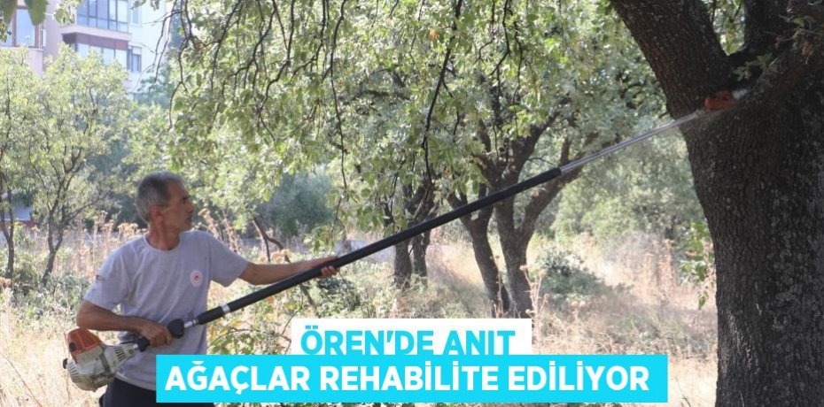 ÖREN’DE ANIT AĞAÇLAR REHABİLİTE EDİLİYOR