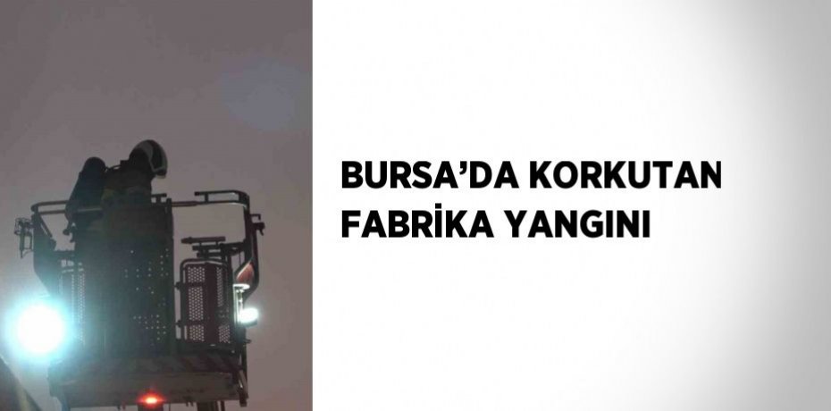 BURSA’DA KORKUTAN FABRİKA YANGINI