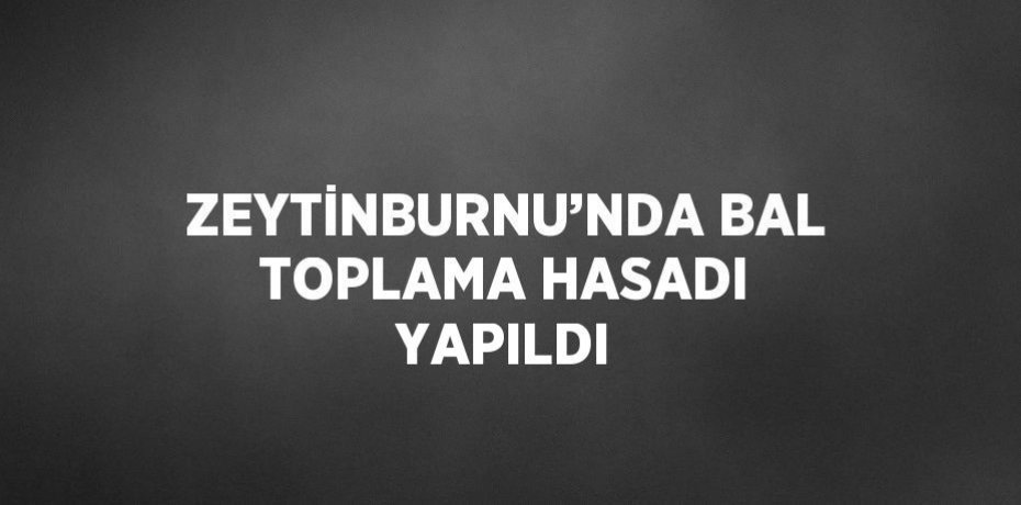 ZEYTİNBURNU’NDA BAL TOPLAMA HASADI YAPILDI