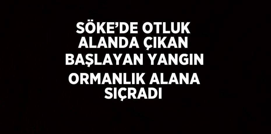 SÖKE’DE OTLUK ALANDA ÇIKAN BAŞLAYAN YANGIN ORMANLIK ALANA SIÇRADI