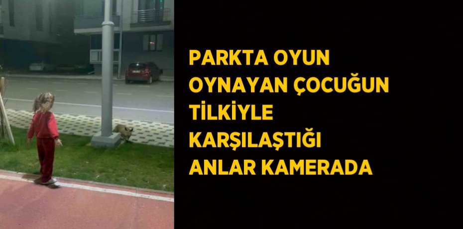 PARKTA OYUN OYNAYAN ÇOCUĞUN TİLKİYLE KARŞILAŞTIĞI ANLAR KAMERADA