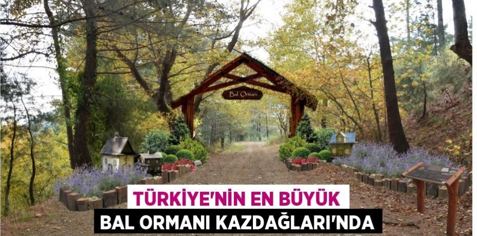 Türkiye’nin en büyük bal ormanı Kazdağları’nda