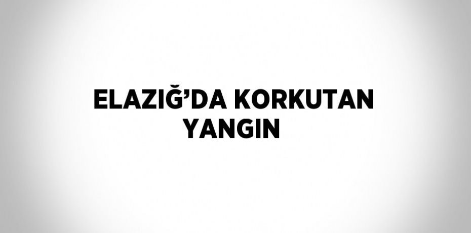 ELAZIĞ’DA KORKUTAN YANGIN