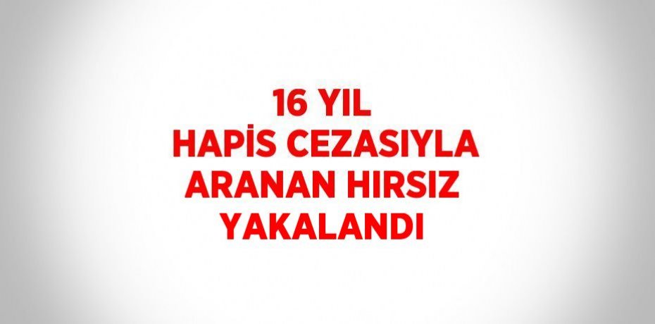 16 YIL HAPİS CEZASIYLA ARANAN HIRSIZ YAKALANDI