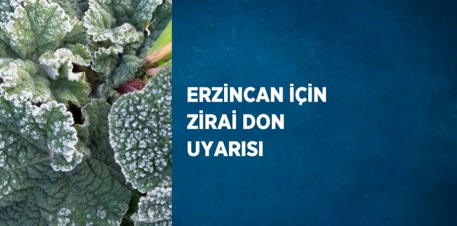 ERZİNCAN İÇİN ZİRAİ DON UYARISI