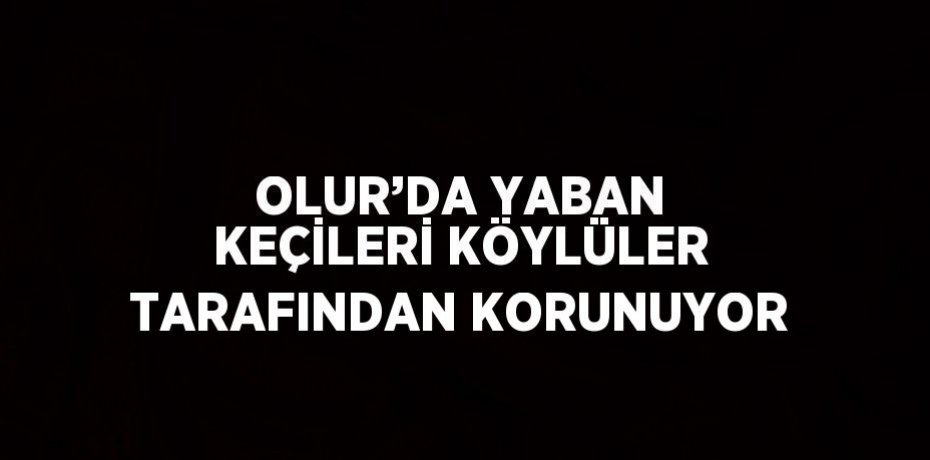 OLUR’DA YABAN KEÇİLERİ KÖYLÜLER TARAFINDAN KORUNUYOR