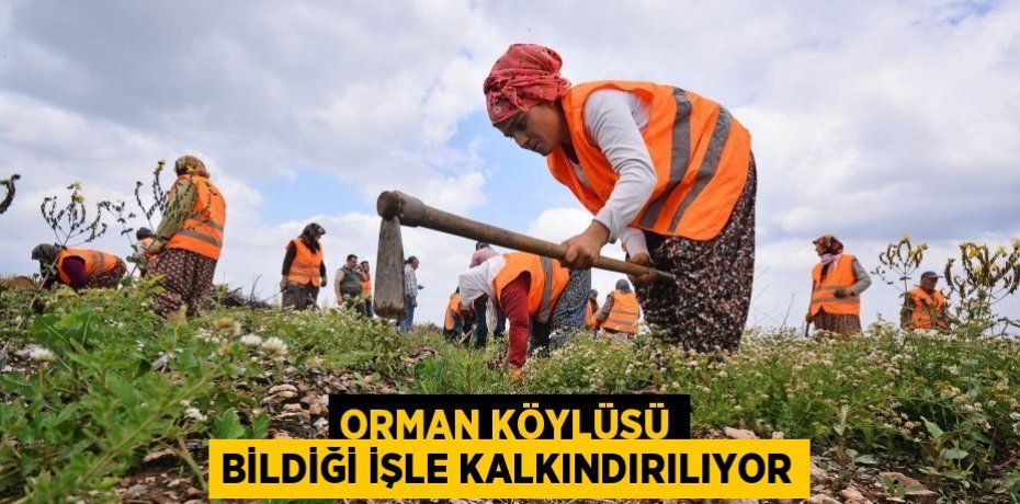 Orman köylüsü bildiği işle kalkındırılıyor