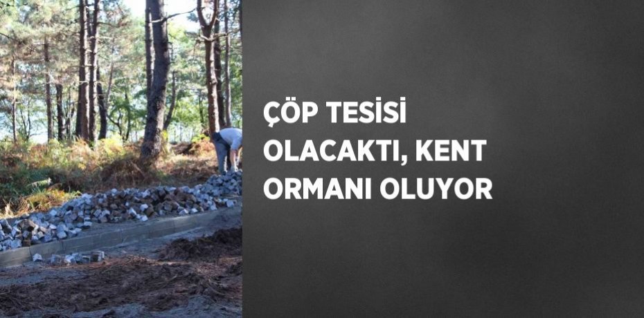 ÇÖP TESİSİ OLACAKTI, KENT ORMANI OLUYOR
