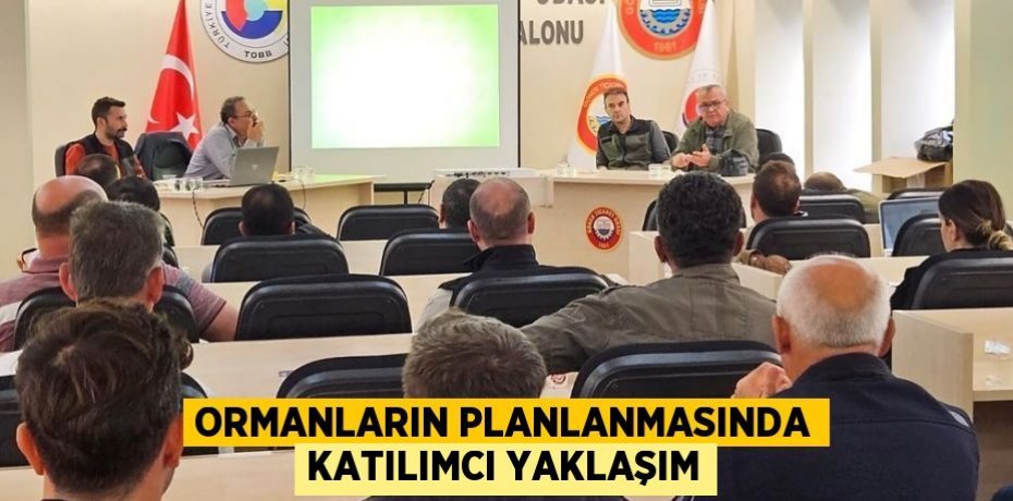 Ormanların Planlanmasında Katılımcı Yaklaşım