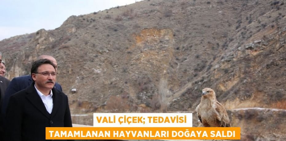VALİ ÇİÇEK; TEDAVİSİ TAMAMLANAN HAYVANLARI DOĞAYA SALDI