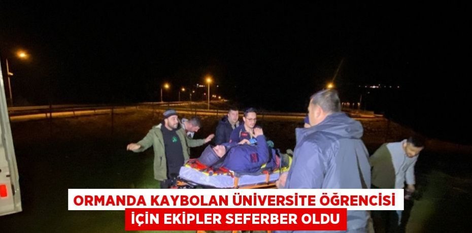 ORMANDA KAYBOLAN ÜNİVERSİTE ÖĞRENCİSİ İÇİN EKİPLER SEFERBER OLDU