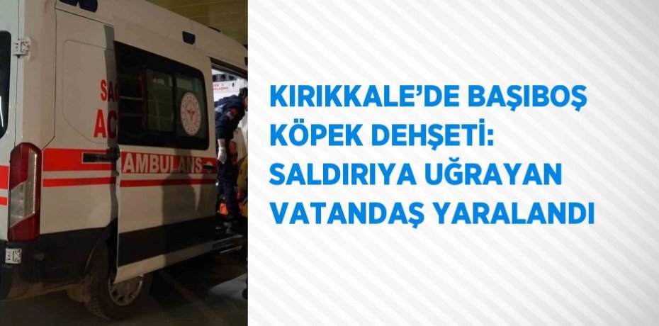 KIRIKKALE’DE BAŞIBOŞ KÖPEK DEHŞETİ: SALDIRIYA UĞRAYAN VATANDAŞ YARALANDI