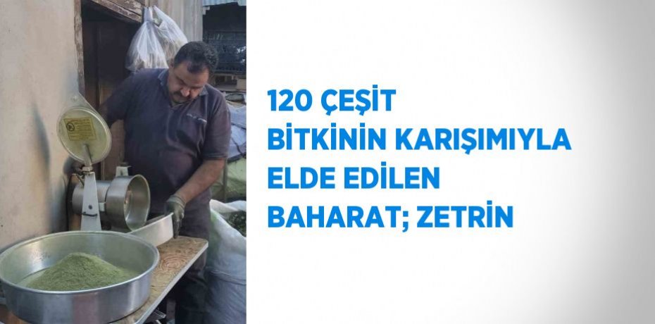 120 ÇEŞİT BİTKİNİN KARIŞIMIYLA ELDE EDİLEN BAHARAT; ZETRİN