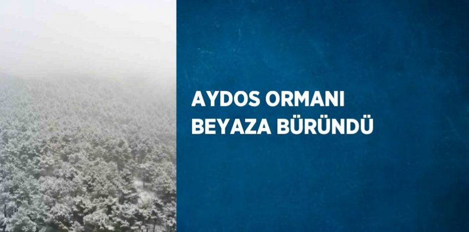 AYDOS ORMANI BEYAZA BÜRÜNDÜ