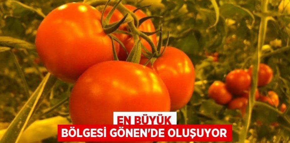 EN BÜYÜK BÖLGESİ GÖNEN'DE OLUŞUYOR