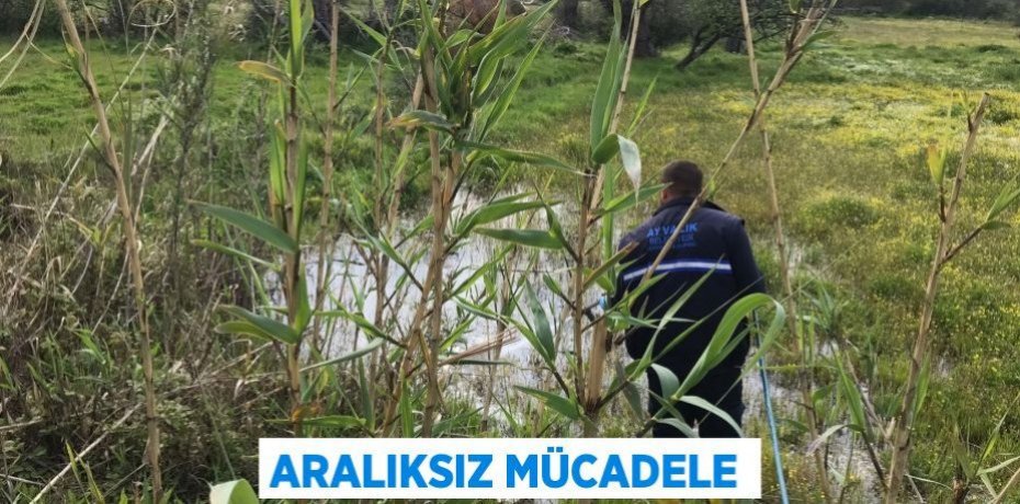 Aralıksız mücadele