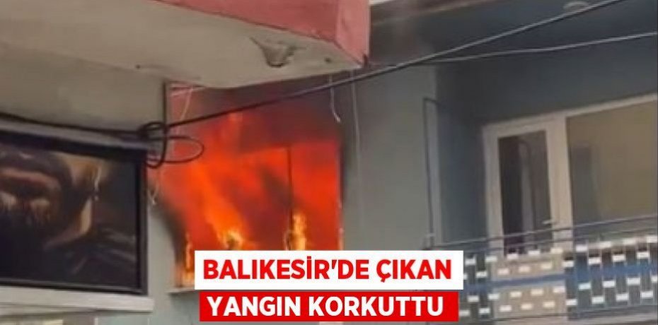 Balıkesir'de çıkan yangın korkuttu