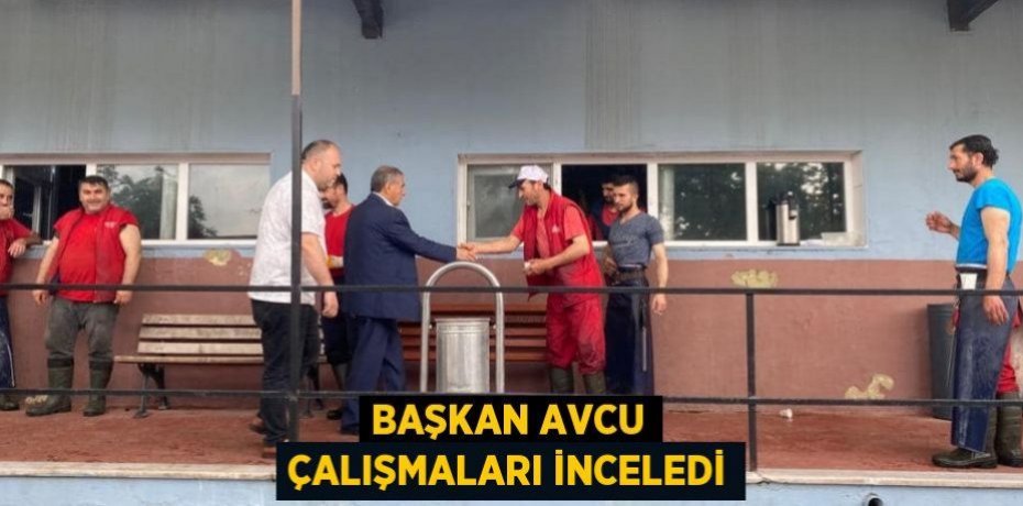 Başkan Avcu çalışmaları inceledi