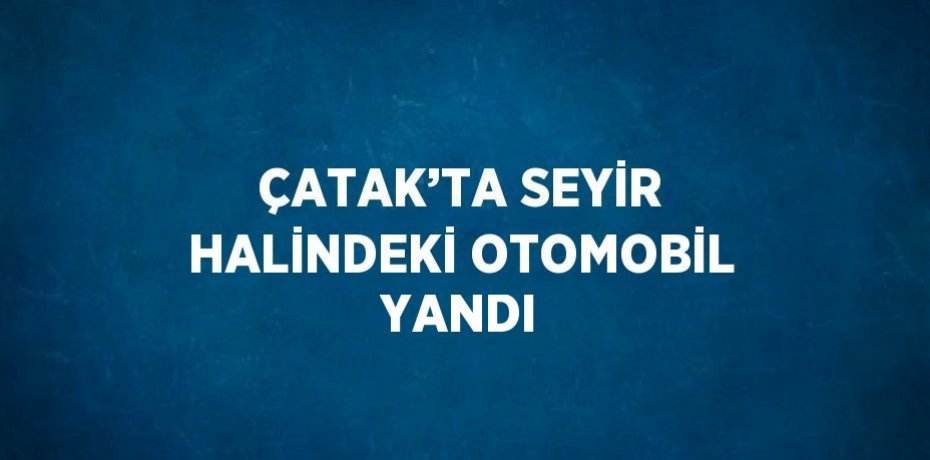 ÇATAK’TA SEYİR HALİNDEKİ OTOMOBİL YANDI