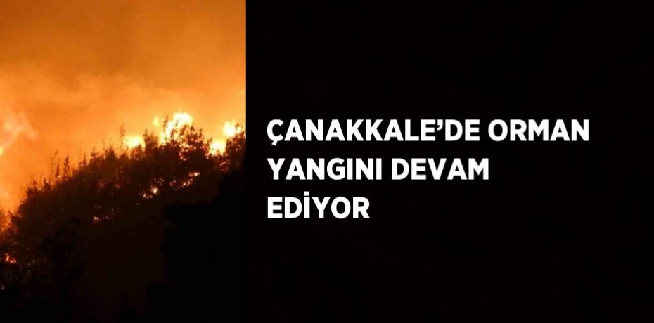 ÇANAKKALE’DE ORMAN YANGINI DEVAM EDİYOR