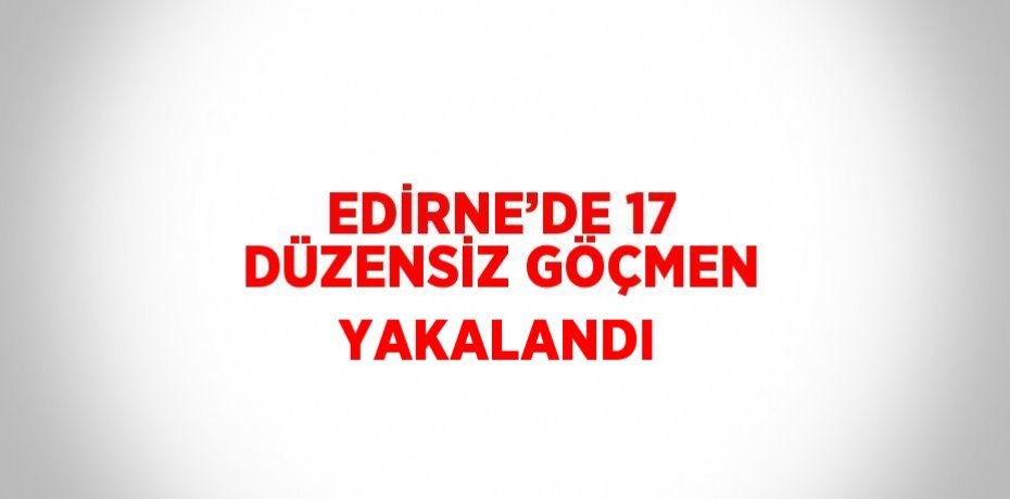 EDİRNE’DE 17 DÜZENSİZ GÖÇMEN YAKALANDI