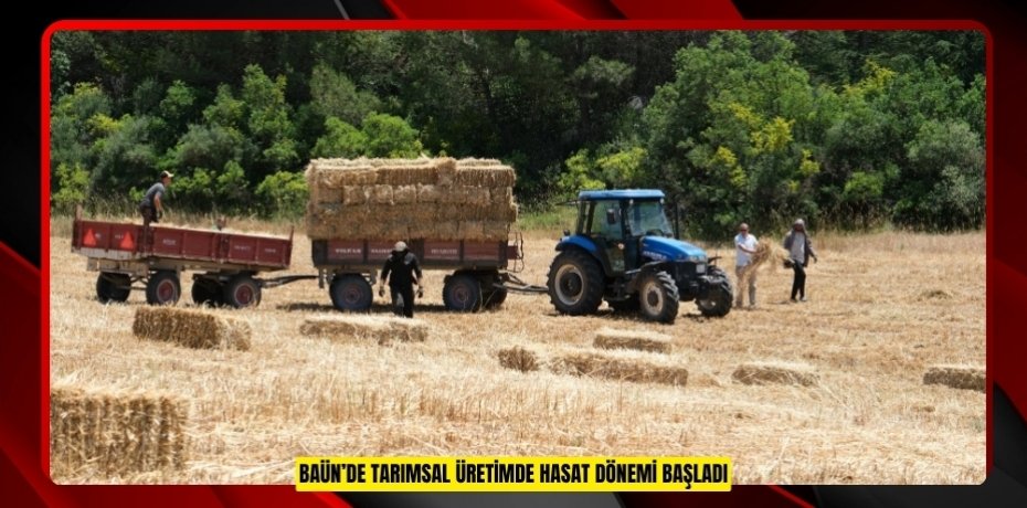 BAÜN’DE TARIMSAL ÜRETİMDE HASAT DÖNEMİ BAŞLADI