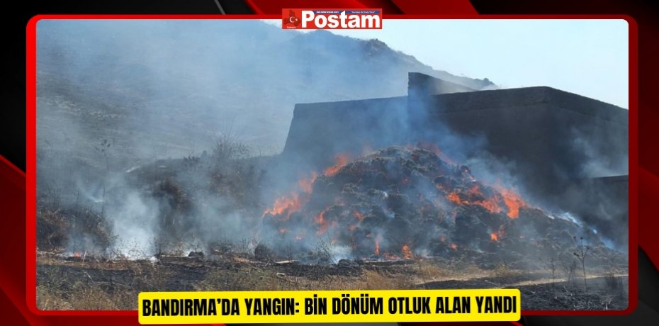 Bandırma’da yangın: Bin dönüm otluk alan yandı  